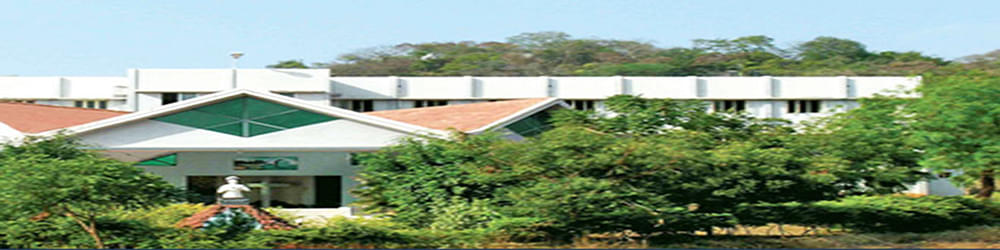 C.S.I. Jayaraj Annapackiam College of Nursing Pasumalai